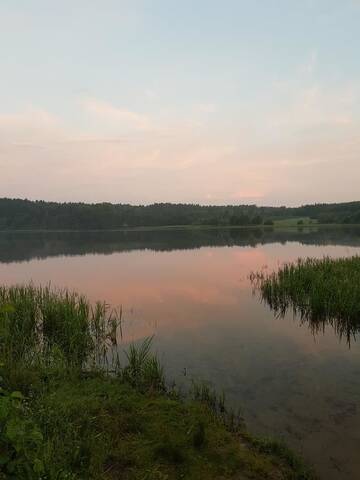 Фото номера Шале с 3 спальнями Фермерские дома Leśny zakątek - Agroturystyka г. Zbychowo 12